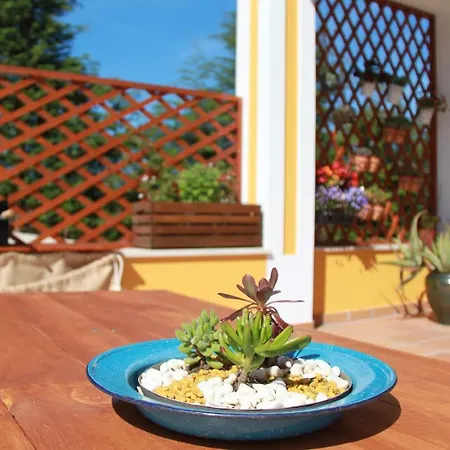 A Casa Da Andorinha * Salir de Matos