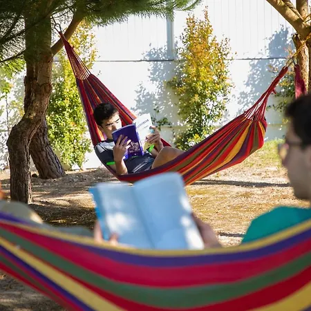 A Casa Da Andorinha Salir de Matos