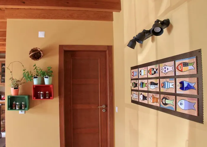 A Casa Da Andorinha * Salir de Matos