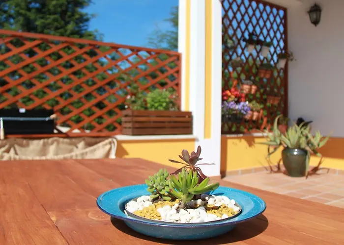 A Casa Da Andorinha * Salir de Matos