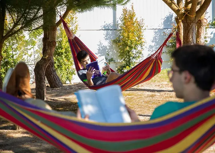 A Casa Da Andorinha Salir de Matos